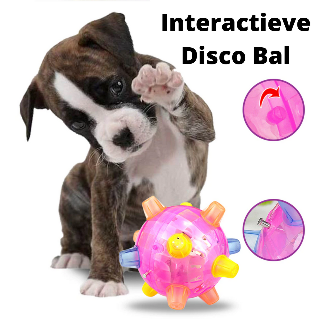 Disco Honden Bal | Interactieve Bal met Verlichting