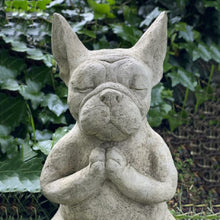 Afbeelding in Gallery-weergave laden, Zen Dog™ Standbeeldje
