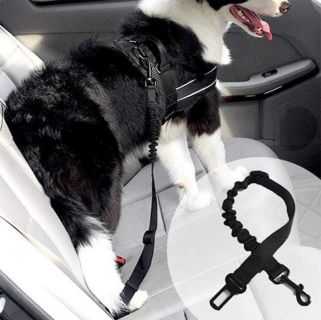 Dog Deluxe - Professionele Auto Gordel voor Honden