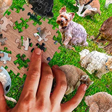 Afbeelding in Gallery-weergave laden, Grappige Poepende Honden Puzzel - 1000 STUKJES

