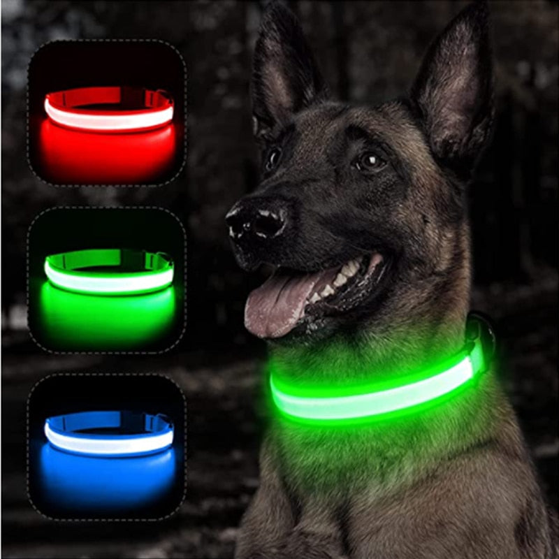 Honden LED halsband
